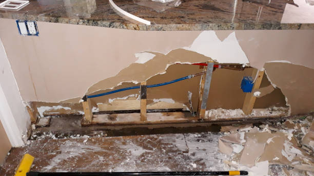 Best Mold removal after water damage  in Lawton, MI