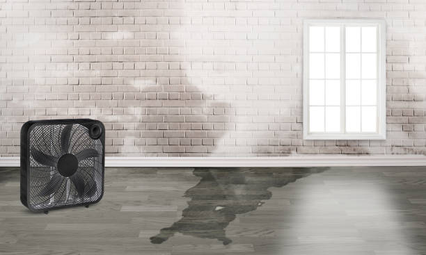 Trusted MI Water damage restoration Experts