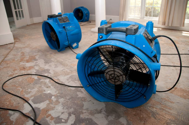 Best Water damage restoration services  in Lawton, MI