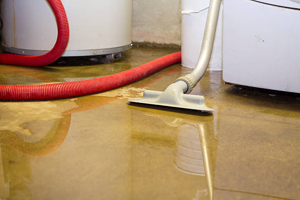 Best Commercial water damage restoration  in Lawton, MI