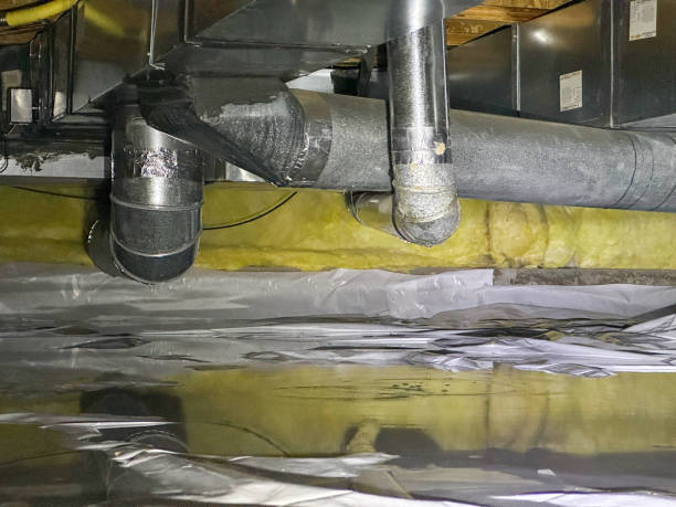 Best Flood restoration services  in Lawton, MI